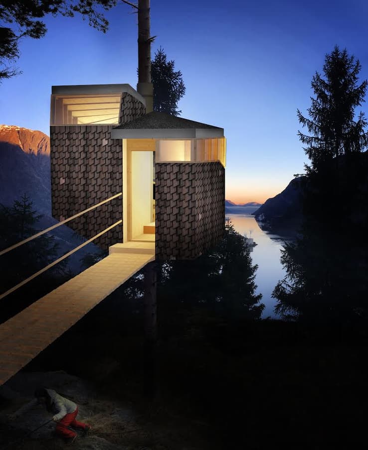 Tretopphytter, Odda